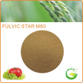 Fulvic Acid Rohstoff